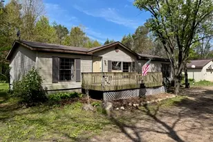 5237 S Chestnut Ave, Newaygo, MI 49337 - Photo 1
