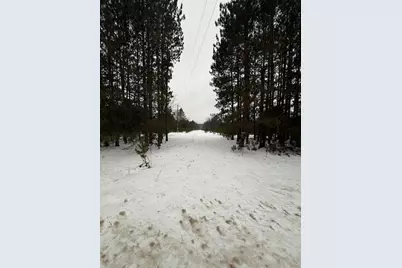 14124 Healy Lake Road, Bear Lake, MI 49614 - Photo 1