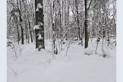 V/L S Whalen Lake Road, Baldwin, MI 49304 - Photo 1