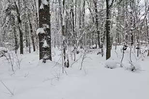 V/L S Whalen Lake Rd, Baldwin, MI 49304 - Photo 1