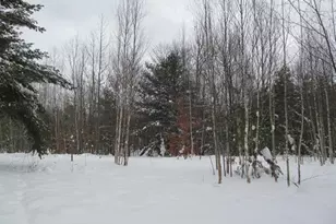 0 W 13th St, Cadillac, MI 49601 - Photo 1