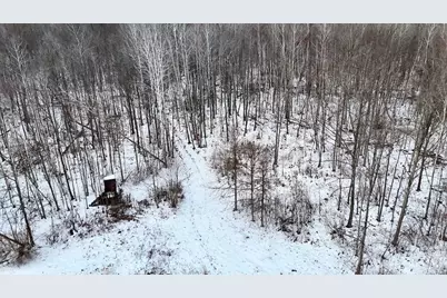 W Dana Rd Road, Coleman, MI 48618 - Photo 1