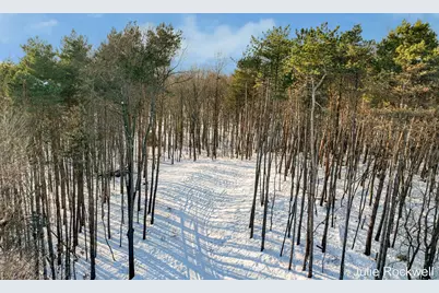 3669 Buttrick Avenue SE, Ada, MI 49301 - Photo 1