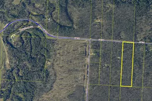Coates Hwy, Brethren, MI 49619 - Photo 1
