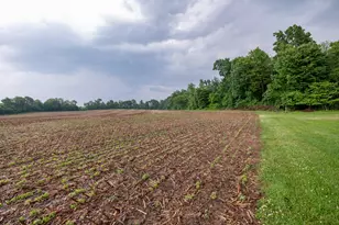 V/L Stone Jug Rd, Battle Creek, MI 49015 - Photo 1