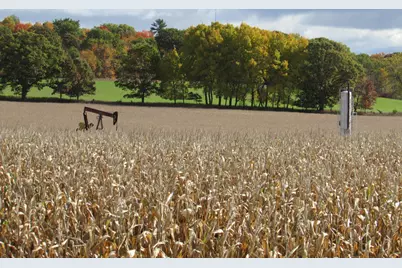 V/L 0000 Briggs Road, Stanton, MI 48888 - Photo 1