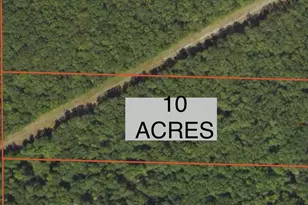 10 Acres S 108th Ave, Rothbury, MI 49452 - Photo 1