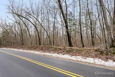 V/L W Wood Lake Road, Pierson, MI 49339 - Photo 1