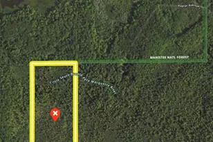 00 Vl Poplar Ave, Bitely, MI 49309 - Photo 1