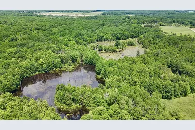 6182 Hamilton Road, Harrison, MI 48625 - Photo 1