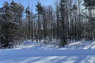 Cloverville Rd, Fruitport, MI 49415 - Photo 1