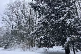 Frank Smith Rd, Chase, MI 49623 - Photo 1