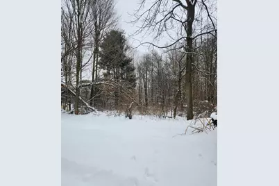 8694 W South County Line Road, Greenville, MI 48838 - Photo 1