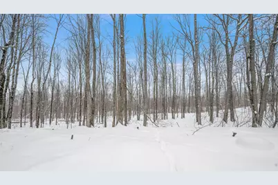 5516 E 68th Street, Chase, MI 49623 - Photo 1