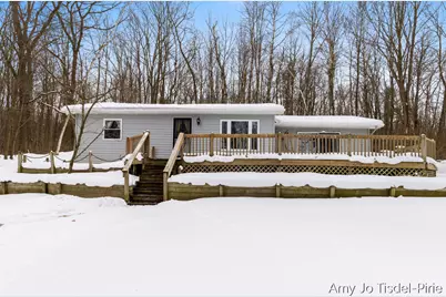 8411 Spring Road, Stanton, MI 48888 - Photo 1