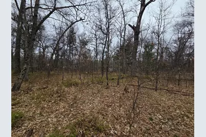 V/L S Harvard Ave., Baldwin, MI 49304 - Photo 1