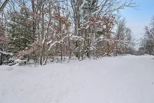 V/L Bagnall Blvd, Baldwin, MI 49304 - Photo 1