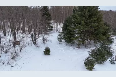 V/L 17 Mile Rd, Leroy, MI 49655 - Photo 1