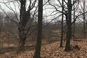 12923 Riverview Dr, Gowen, MI 49326 - Photo 1