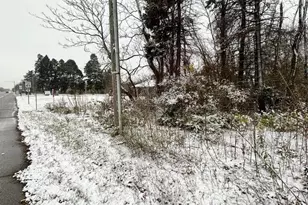 0 Red Arrow Hwy, Saint Joseph, MI 49085 - Photo 1