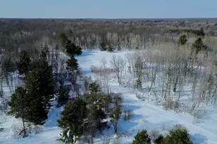 N Felch Ave, White Cloud, MI 49349 - Photo 1