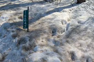 16242 Lake Michigan Dr, West Olive, MI 49460 - Photo 1