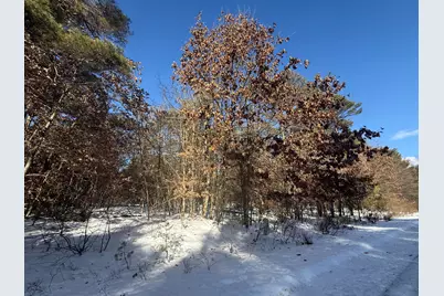10934 Dobbyn Drive #55, Stanwood, MI 49346 - Photo 1