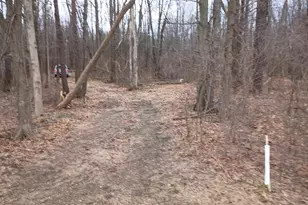 V/L 52nd St, Bangor, MI 49013 - Photo 1