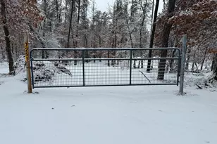 7251 S Clay Banks Rd, Baldwin, MI 49304 - Photo 1