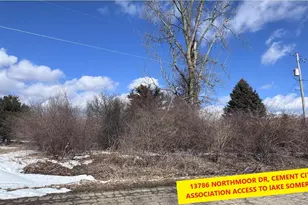 13786 Northmoor Dr, Cement City, MI 49233 - Photo 1