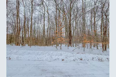 12349 Wagon Wheel Trail #386, Canadian Lakes, MI 49346 - Photo 1