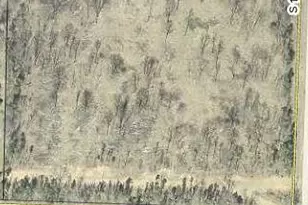 Vl 7 27A E Wilke Rd, Rothbury, MI 49452 - Photo 1