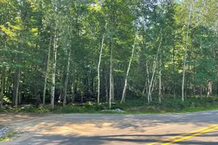 Ridge Rd, Mears, MI 49436 - Photo 1