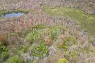 2 Mile Rd, Evart, MI 49631 - Photo 1