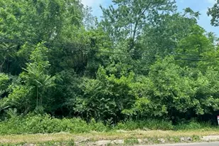 0 Evelyn St, Jackson, MI 49203 - Photo 1