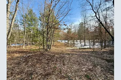 Vl N Merrillville Road, Baldwin, MI 49304 - Photo 1