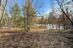Vl N Merrillville Rd, Baldwin, MI 49304 - Photo 1