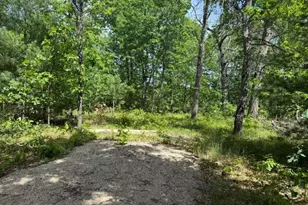 Vl Yale Ave, Baldwin, MI 49304 - Photo 1