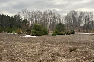 Quarter Line Rd, Manistee, MI 49660 - Photo 1