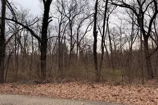Lakeview Dr, Dowagiac, MI 49047 - Photo 1