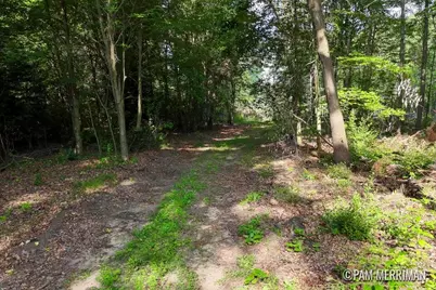 Parcel E W Willard Road, Trufant, MI 49347 - Photo 1