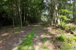 Parcel E W Willard Rd, Trufant, MI 49347 - Photo 1
