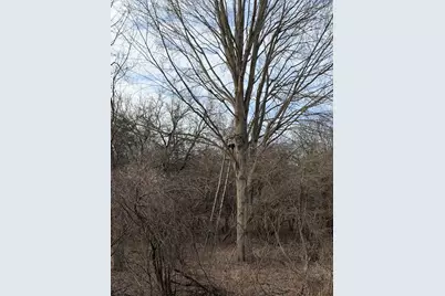 Vl Harper Road, Holt, MI 48842 - Photo 1