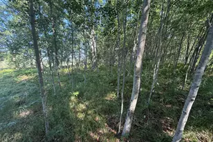 W Royal Rd, Canadian Lakes, MI 49346 - Photo 1
