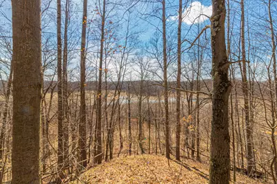 V/L 17 Mile Road, Rodney, MI 49342 - Photo 1
