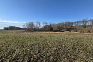 Vl W Arthur Rd, Rothbury, MI 49452 - Photo 1