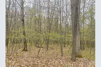 12090 Dubois Drive, Canadian Lakes, MI 49346 - Photo 1