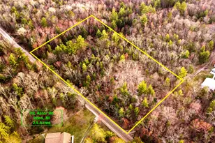 V/L Astor Rd, Irons, MI 49644 - Photo 1