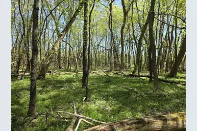 V/L Bellevue, Bellevue, MI 49021 - Photo 1
