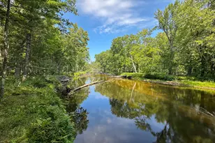 V/L 51 58 Thornapple Trail, Marion, MI 49665 - Photo 1